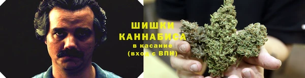 ГАЛЛЮЦИНОГЕННЫЕ ГРИБЫ Козельск